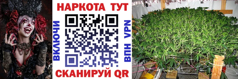 Купить Alpha-PVP  Конопля  АМФ  Гашиш  Кокаин  МЕФ  Зеленокумск