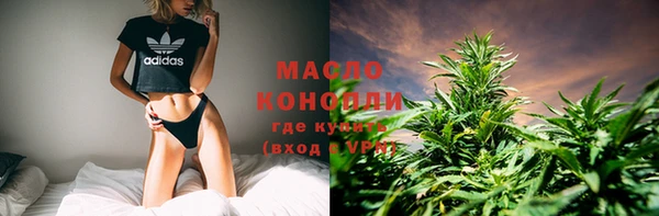 стаф Дмитров