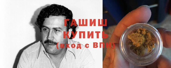 стаф Дмитров