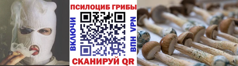 Псилоцибиновые грибы мицелий  Купить где  Зеленокумск 